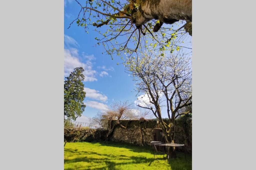 Amalouyse Studio De Charme Au Coeur Des Chateaux De Loire モンルイ・シュル・ロワール エクステリア 写真