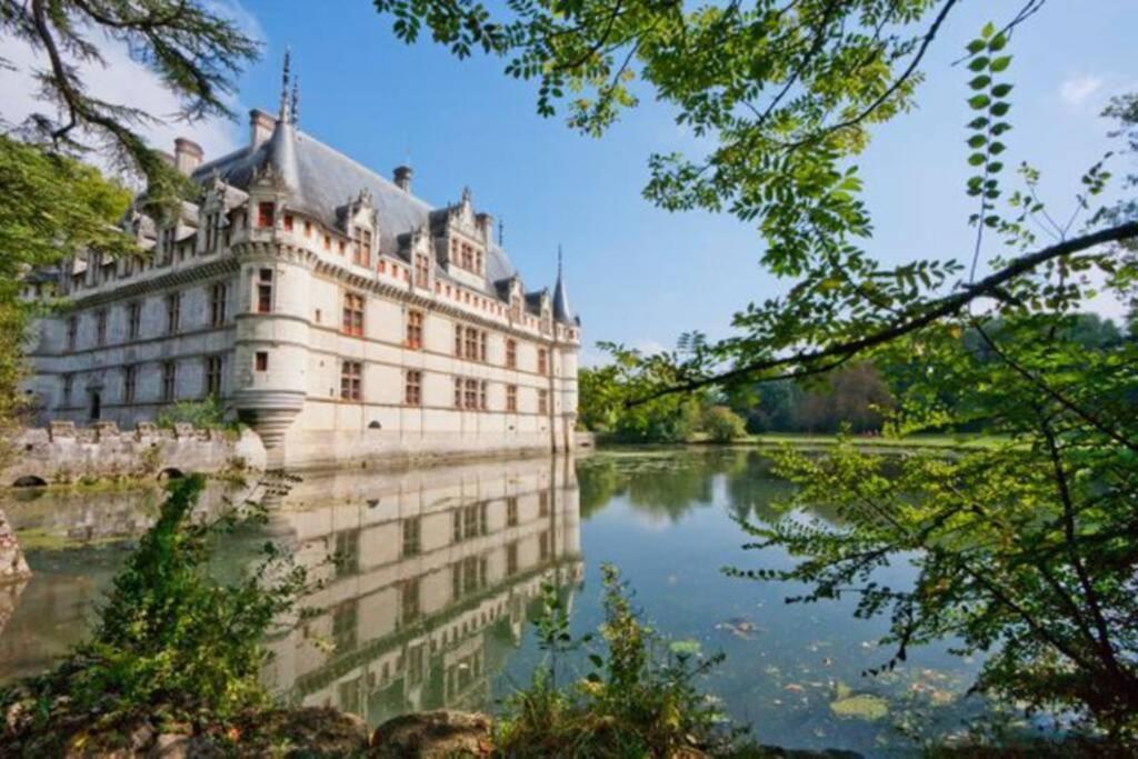 Amalouyse Studio De Charme Au Coeur Des Chateaux De Loire モンルイ・シュル・ロワール エクステリア 写真